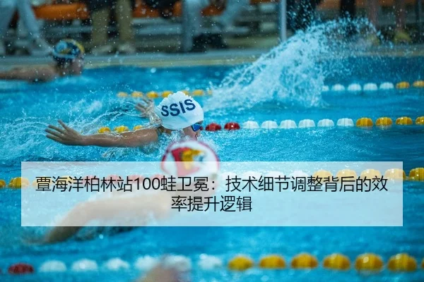 tan-hai-yang-bo-lin-zhan-wa-wei-mian-ji-shu-xi-jie-tiao-zheng-bei-hou-de-xiao-lv-ti-sheng-luo-ji-2-336.jpg